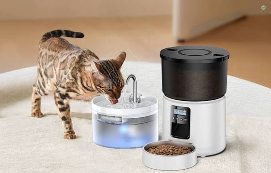 Rojeco 3L Buttonn Automatic Pet Feeder +2L Watter Fo