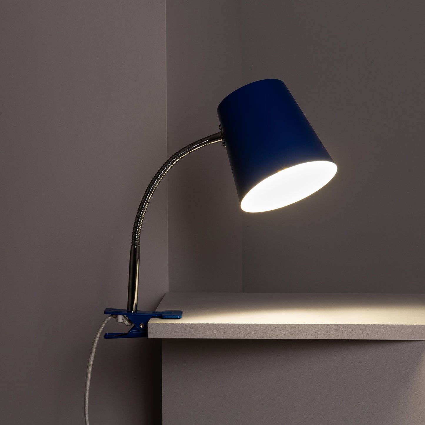 Lampe de Bureau Flex Métal Delavan avec Pince